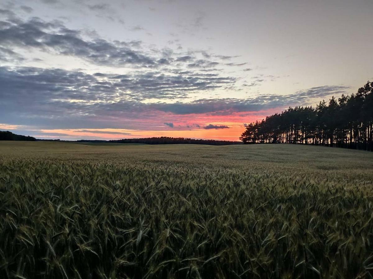 Stawy U Sikory - Dom Rybak - Agroturystyka I Lowisko Nowa Wies  Kültér fotó